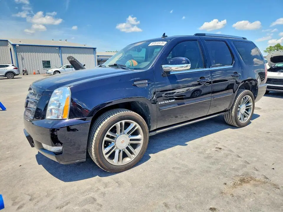 1GYS3CEF8ER150756 — 2014 Cadillac Escalade, Град (Hail), фото до ремонта