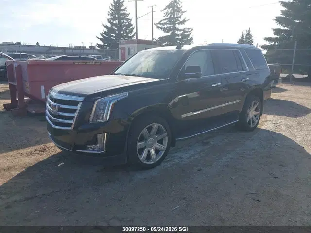 2016 Cadillac Escalade Luxury VIN 1GYS4BKJ7GR383465 фото 2