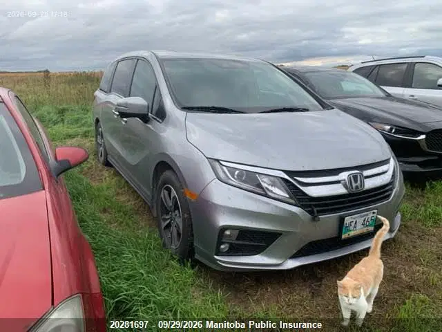 5FNRL6H47KB505711 — 2019 Honda Odyssey EX, Град (Hail), фото до ремонта