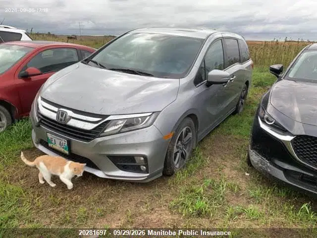 2019 Honda ODYSSEY EX VIN 5FNRL6H47KB505711 фото 2