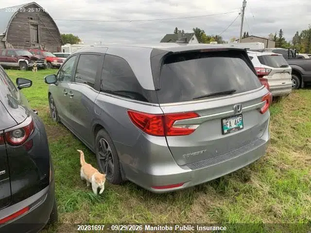 2019 Honda ODYSSEY EX VIN 5FNRL6H47KB505711 фото 3
