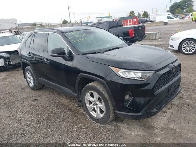 2T3R1RFV7KW078365 — 2019 Toyota RAV4 XLE, Передняя часть (Front), фото до ремонта