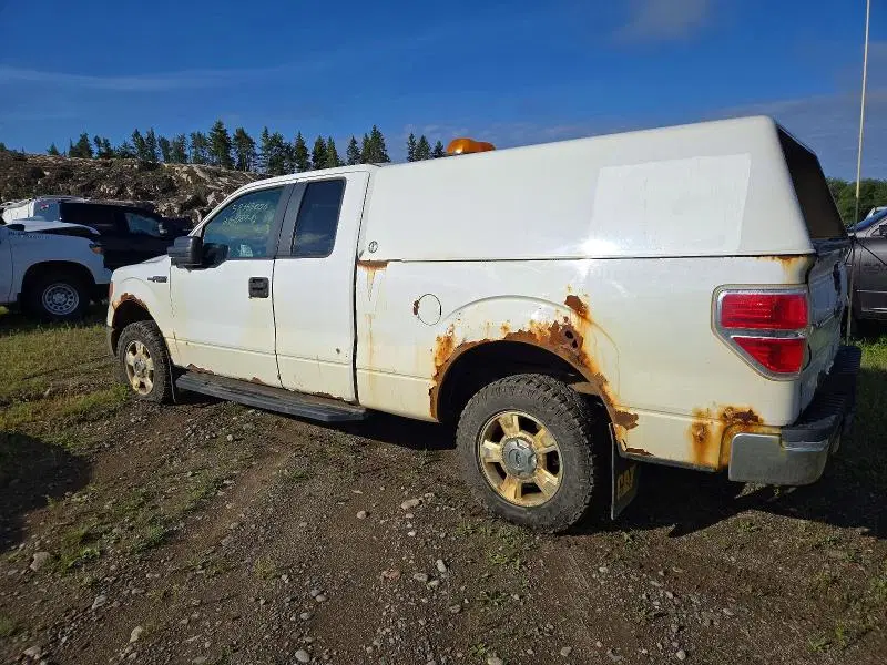 2012 FORD F150 VIN 1FTFX1EFXCFB75771 фото 2