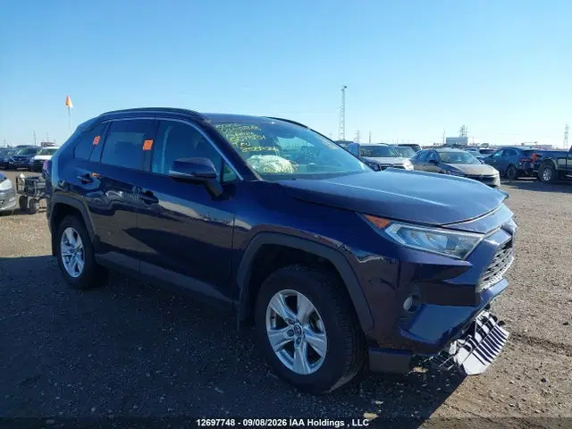 2T3R1RFV7KW073134 — 2019 Toyota RAV4 XLE, Биологическая или химическая опасность (Bio Hazard), фото до ремонта