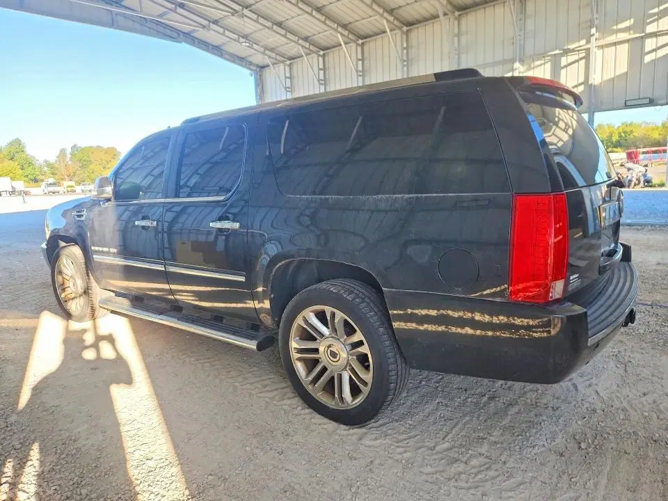 1GYS4JEF5BR377304 — 2011 Cadillac Escalade, Пожар салона (Burn - Interior), фото до ремонта