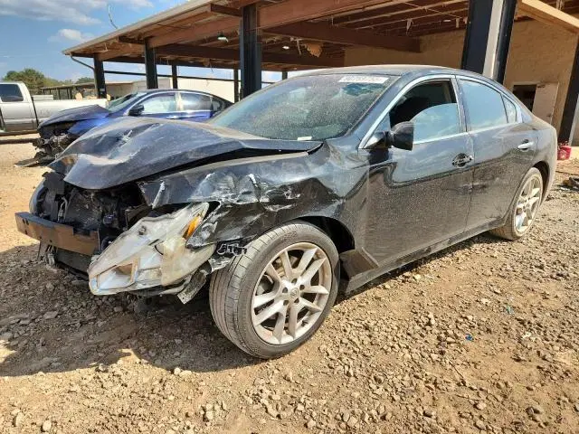 2013 NISSAN MAXIMA VIN 1N4AA5AP6DC807790 фото 3